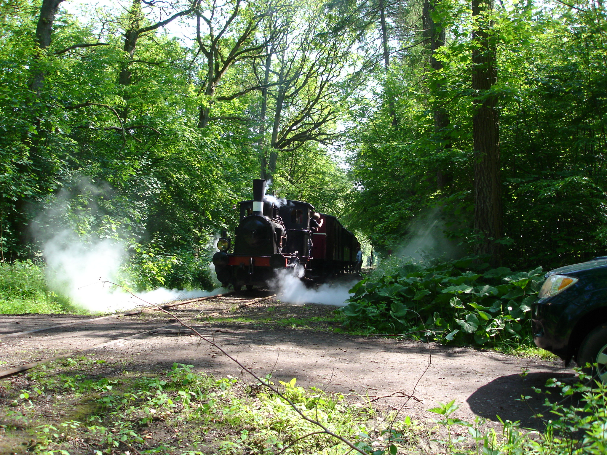 Med damptog i det grønne